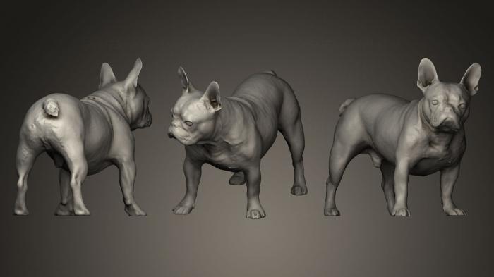 Animal figurines (STKJ_0247) 3D model for CNC machine